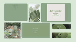 Sage Green Inspiration Collage Wallpaper