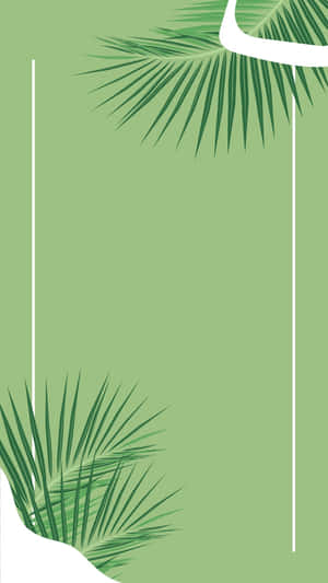 Sage Green Palm Leaves Abstract Background Wallpaper