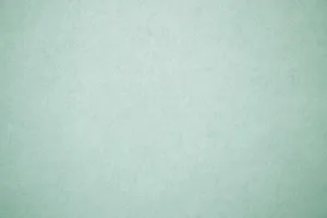 Sage Green Paper Wallpaper