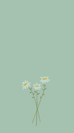 Sage Green Simple Daisy Illustration Wallpaper