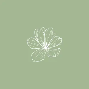 Sage Green Sketch Flower Art Wallpaper