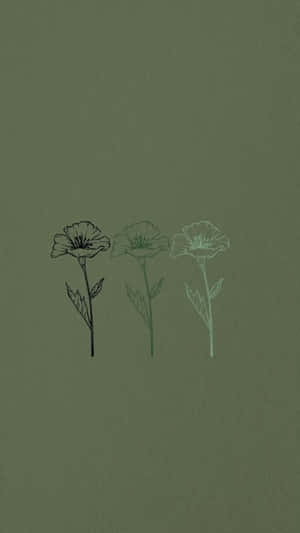 Sage Green Sketch Flowers Aesthetic Wallpaper