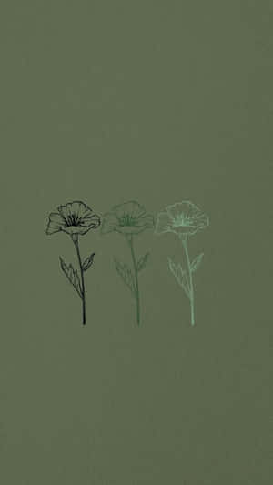 Sage Green Sketch Flowers Wallpaper