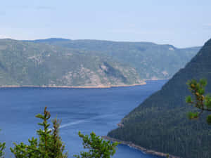 Saguenay Fjord Scenic View Wallpaper