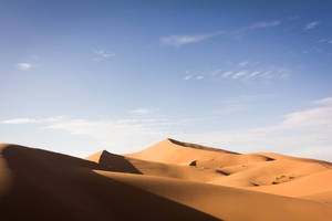 Sahara Brown Sand Field Wallpaper