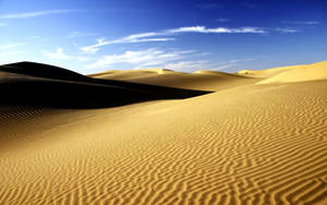 Sahara Desert Sand Ripples Wallpaper