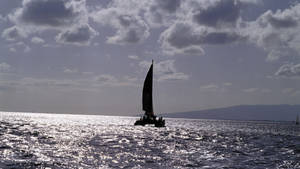 Sailing Catamaran Silhoeutte Wallpaper