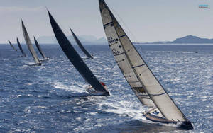 Sailing For Yacht Rolex Cup Wallpaper