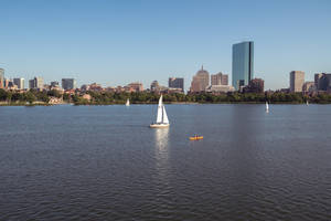 Sailing On Charles River Wallpaper