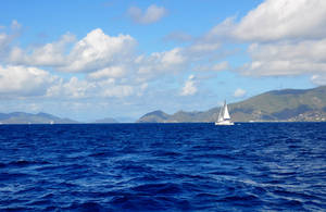 Sailing On Vibrant Blue Waters Wallpaper