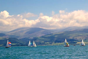 Sailing Regatta Competition Wallpaper