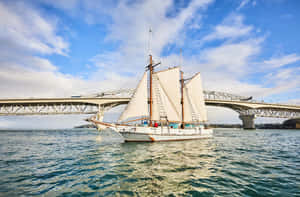 Sailing Ship Auckland Harbour Bridge Wallpaper