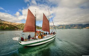 Sailing The Akaroa Harbour Wallpaper