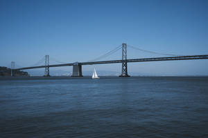 Sailing Under Oakland Bay Bridge Wallpaper