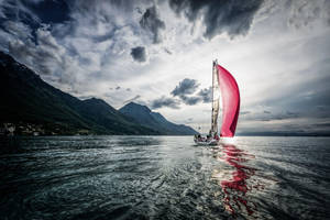 Sailing With Pink Sails Wallpaper