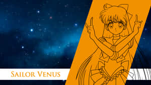 Sailor Venus Wallpaper