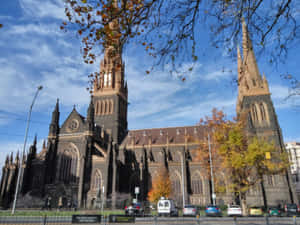 Saint Patrick's Cathedral Australia Wallpaper