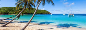 Saint Vincent And The Grenadines Tropical Beach Wallpaper