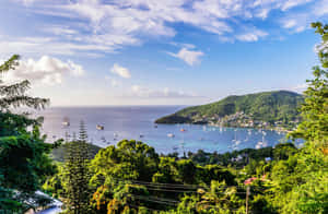 Saint Vincent Grenadines Coastal View Wallpaper