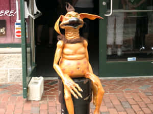 Salacious On Street Wallpaper