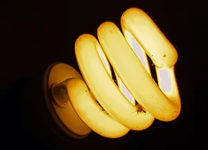 Salient Design Light Bulb Wallpaper