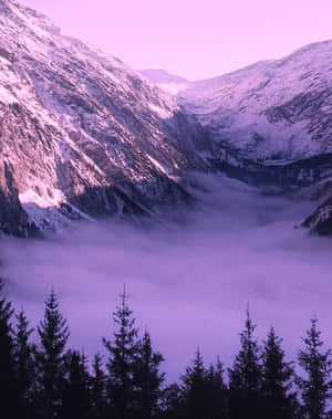 Salient Fog On Mountain Wallpaper