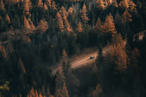 Salient View Of Road Wallpaper