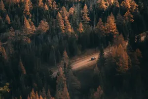 Salient View Of Road Wallpaper