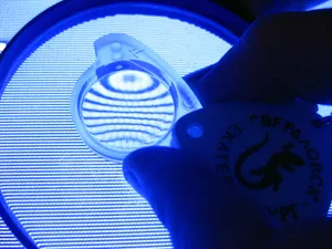 Salient View On Magnifying Glass Wallpaper