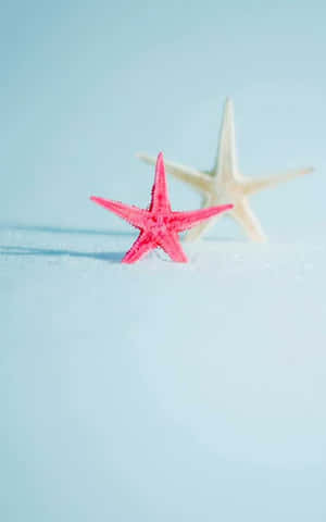 Same Exact Sizes Of Stars Wallpaper