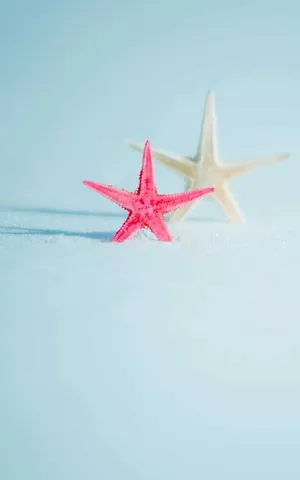 Same Exact Sizes Of Stars Wallpaper