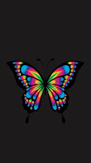 Samsung Galaxy 4k Colorful Butterfly Wallpaper