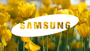 Samsung Tv Logo Design Wallpaper