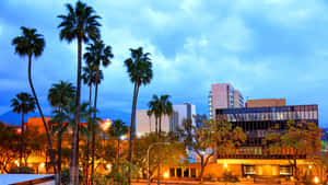 San Bernardino Cityscape Dusk Wallpaper