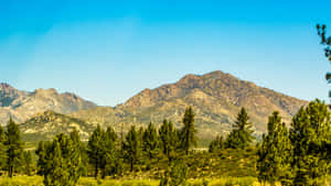 San Bernardino Mountain Range Landscape Wallpaper