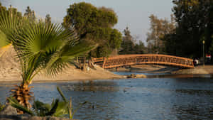 San Bernardino Park Bridge Scenery Wallpaper