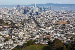 San Francisco Cityscape From Twin Peaks Wallpaper