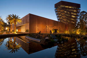 San Francisco De Young Museum Wallpaper