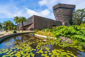 San Francisco De Young Museum Garden Wallpaper