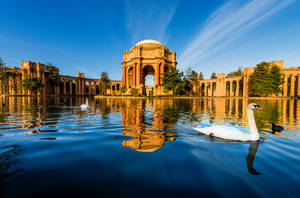 San Francisco Palace Of Fine Arts Wallpaper