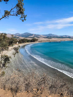 San Simeon Curved Shore Wallpaper