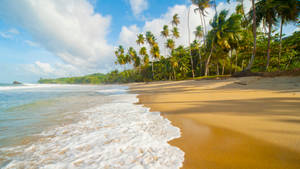 Sand With Sea Foam Beach Desktop Wallpaper