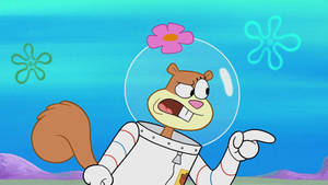 Sandra Jennifer Olivia Sandy Cheeks Wallpaper