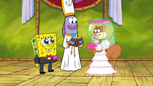 Sandy Cheeks Spongebob Wedding Wallpaper