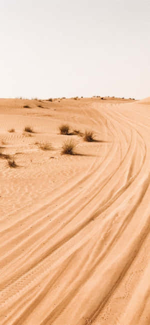 Sandy_ Desert_ Trails.jpg Wallpaper