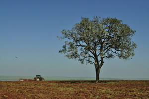 Sao Paulo Brazil Countryside Wallpaper