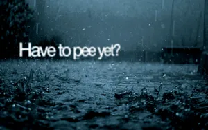 Sarcastic Rain Desktop Wallpaper