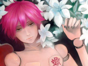 Sasori Oriental Mannequin Puppet Wallpaper