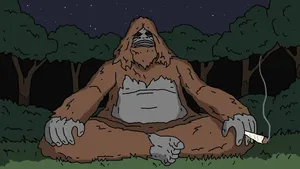 Sassy Sasquatch Nighttime Chill Wallpaper