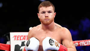 Saul 'canelo' Alvarez's Pristine White Boxing Gloves Wallpaper